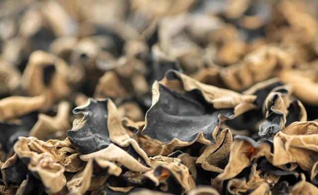 Đừng ngâm mộc nhĩ kiểu cũ nữa: Hóa ra bao năm chị em toàn… ăn kèm "trứng côn trùng" mà không biết- Ảnh 2.