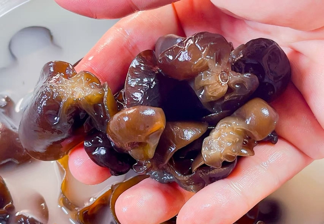 Đừng ngâm mộc nhĩ kiểu cũ nữa: Hóa ra bao năm chị em toàn… ăn kèm "trứng côn trùng" mà không biết- Ảnh 6.