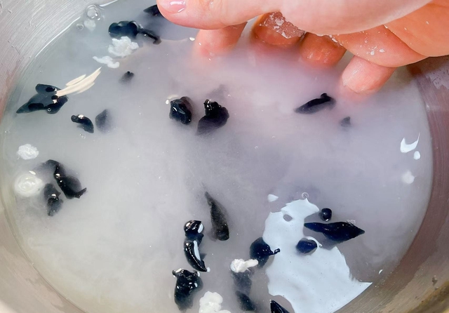 Đừng ngâm mộc nhĩ kiểu cũ nữa: Hóa ra bao năm chị em toàn… ăn kèm "trứng côn trùng" mà không biết- Ảnh 5.