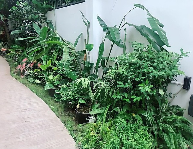 Nghệ sĩ U60 giàu nhất miền Tây, cả nước yêu quý ủng hộ- Ảnh 9. Nghệ sĩ U60 giàu nhất miền Tây, cả nước yêu quý ủng hộ- Ảnh 9.