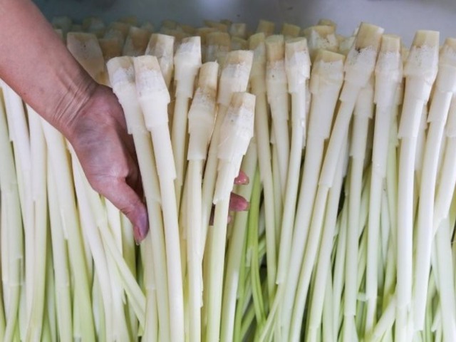 5 loại rau đặc sản miền Tây: Ăn 1 lần là nhớ mãi, đi chợ mà thấy phải MUA ngay- Ảnh 3. 5 loại rau đặc sản miền Tây: Ăn 1 lần là nhớ mãi, đi chợ mà thấy phải MUA ngay- Ảnh 3.