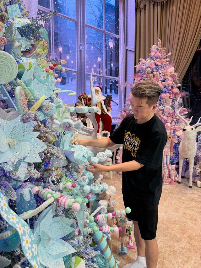 Quyết định cuối cùng của Đàm Vĩnh Hưng- Ảnh 2.