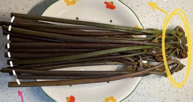 Mất ngủ triền miên, da xấu người mệt: Thử 4 món "rau trợ ngủ" này, 3 ngày 1 lần ngủ một mạch tới sáng- Ảnh 9. Mất ngủ triền miên, da xấu người mệt: Thử 4 món "rau trợ ngủ" này, 3 ngày 1 lần ngủ một mạch tới sáng- Ảnh 9.