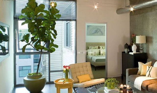 Món đồ cực vượng phong thủy, xin chúc mừng gia đình nào sở hữu- Ảnh 1.