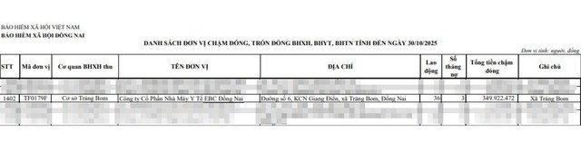 BHXH tỉnh Đồng Nai phát thông báo nóng đến công ty làm kem chống nắng giả cho chồng Đoàn Di Băng- Ảnh 1.