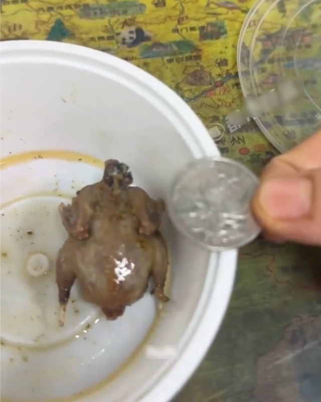 Mua gà rán nguyên con chỉ 7.000 đồng, cô gái "cười ngất" trước cách làm của người bán hàng- Ảnh 3.