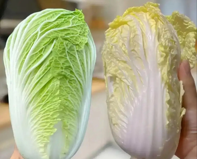 Mua cải thảo, nên chọn "loại xanh" hay "loại vàng"? Người bán rau nói thẳng đáp án- Ảnh 1.