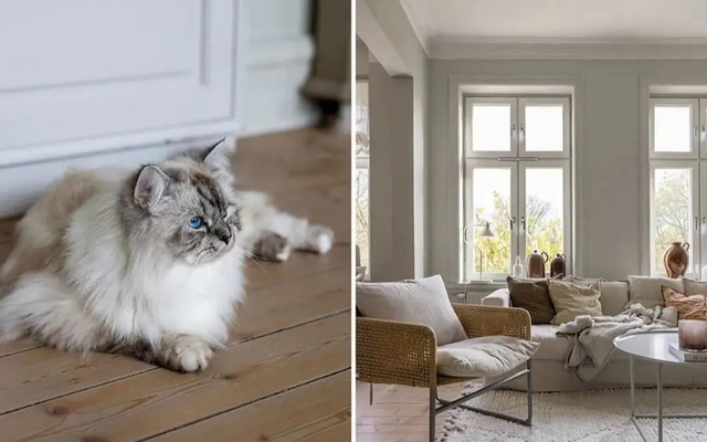 Căn hộ Bắc Âu kiểu này, chỉ cần thở thôi cũng thấy nhẹ lòng- Ảnh 4. Căn hộ Bắc Âu kiểu này, chỉ cần thở thôi cũng thấy nhẹ lòng- Ảnh 4.