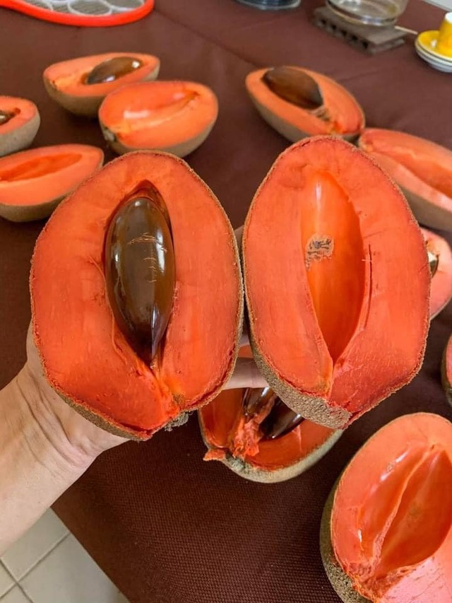 Loại quả xưa không ai biết, nay thành đặc sản bổ như nhân sâm, giá ngất ngưởng 400.000 đồng/kg- Ảnh 2.