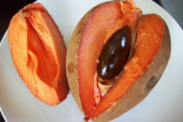 Loại quả xưa không ai biết, nay thành đặc sản bổ như nhân sâm, giá ngất ngưởng 400.000 đồng/kg- Ảnh 1.