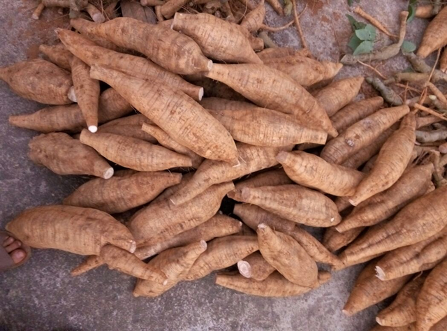 Phụ nữ đừng quá tiết kiệm, hãy dùng nhiều 7 thực phẩm này để bổ sung estrogen, khuôn mặt trẻ ra vài tuổi- Ảnh 1. Phụ nữ đừng quá tiết kiệm, hãy dùng nhiều 7 thực phẩm này để bổ sung estrogen, khuôn mặt trẻ ra vài tuổi- Ảnh 1.