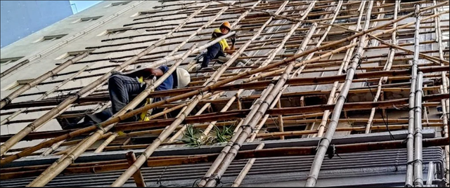 Sử dụng giàn giáo bằng tre dễ gây cháy nhưng vì sao Hong Kong vẫn dùng vật liệu này suốt nhiều thế kỷ?- Ảnh 1.