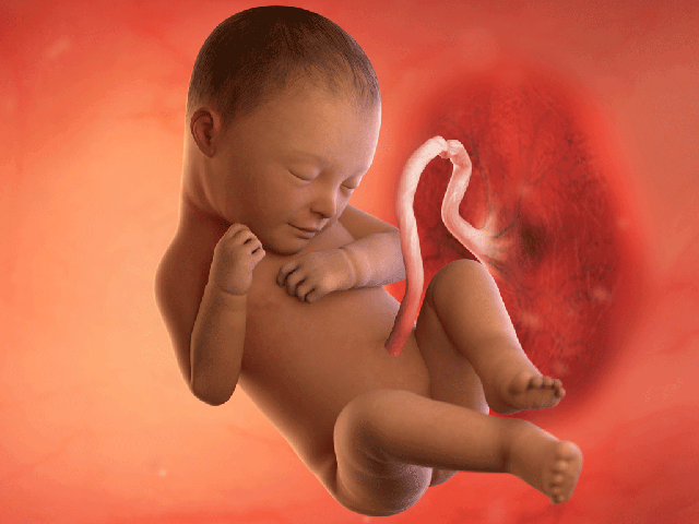 Tuần thai thứ 38: Bé yêu đã sẵn sàng chào đời, mẹ hãy chuẩn bị đồ đi sinh!- Ảnh 2.