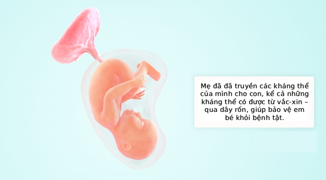 Tuần thai thứ 38: Bé yêu đã sẵn sàng chào đời, mẹ hãy chuẩn bị đồ đi sinh!- Ảnh 5.