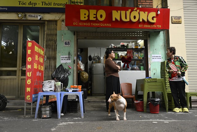 Cận cảnh chú chó “thần tài” nổi tiếng nhất Hà Nội hiện nay: Tiếp khách mệt nghỉ, giúp quán tăng doanh thu cao ngất- Ảnh 1.