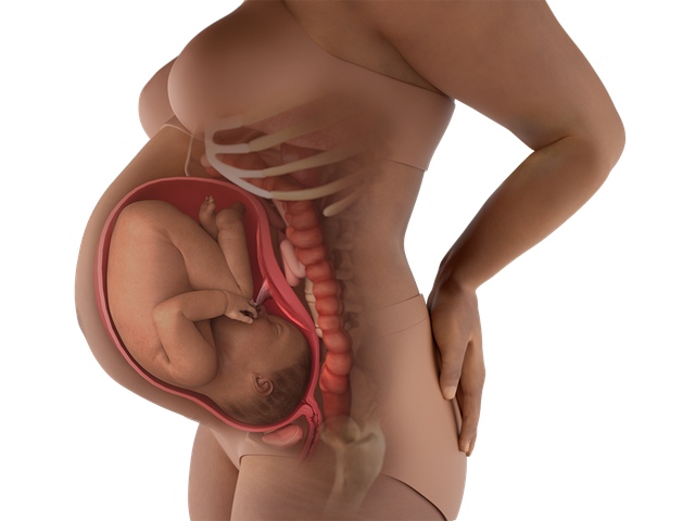 Tuần thai thứ 39: Bé yêu chờ ngày chào đời, tử cung của mẹ co bóp mạnh- Ảnh 4. Tuần thai thứ 39: Bé yêu chờ ngày chào đời, tử cung của mẹ co bóp mạnh- Ảnh 4.