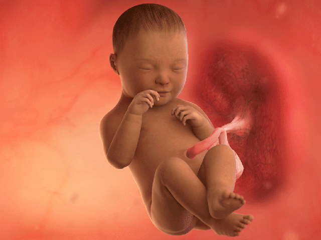 Tuần thai thứ 39: Bé yêu chờ ngày chào đời, tử cung của mẹ co bóp mạnh- Ảnh 2. Tuần thai thứ 39: Bé yêu chờ ngày chào đời, tử cung của mẹ co bóp mạnh- Ảnh 2.