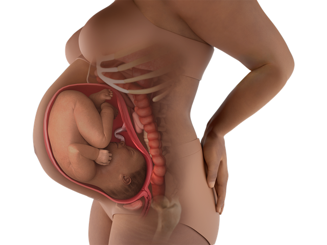 Tuần thai thứ 40: Ngày dự sinh đã đến, bé đã hoàn toàn sẵn sàng gặp mẹ rồi!- Ảnh 4.