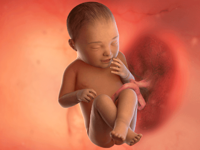 Tuần thai thứ 40: Ngày dự sinh đã đến, bé đã hoàn toàn sẵn sàng gặp mẹ rồi!- Ảnh 2.