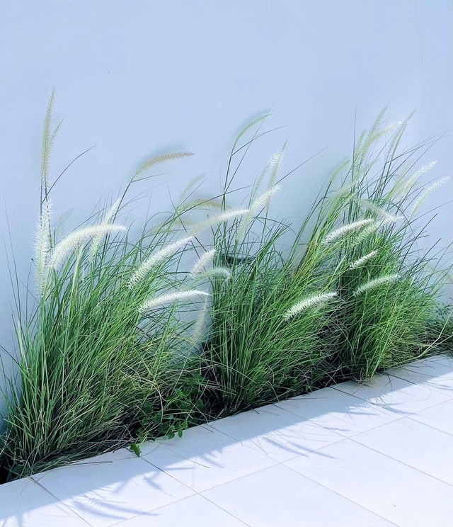 Bạch dinh 22 tỷ rộng 1000m² của Công Vinh - Thuỷ Tiên- Ảnh 6.