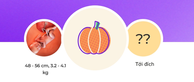 Tuần thai thứ 40: Ngày dự sinh đã đến, bé đã hoàn toàn sẵn sàng gặp mẹ rồi!- Ảnh 1.