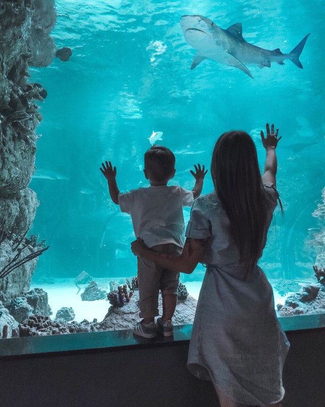 Sau ly hôn, không được ở bên con trong mọi dịp lễ và đây là cách tôi cùng con làm quen với "nếp sống mới"- Ảnh 4. Sau ly hôn, không được ở bên con trong mọi dịp lễ và đây là cách tôi cùng con làm quen với "nếp sống mới"- Ảnh 4.