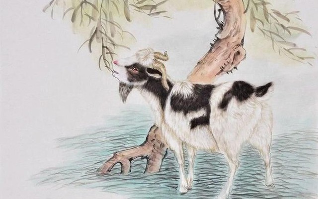 4 con giáp sắp bước vào thời kỳ may mắn vượt bậc, tiền bạc rủng rỉnh, sự nghiệp phất lên như diều gặp gió- Ảnh 3. 4 con giáp sắp bước vào thời kỳ may mắn vượt bậc, tiền bạc rủng rỉnh, sự nghiệp phất lên như diều gặp gió- Ảnh 3.