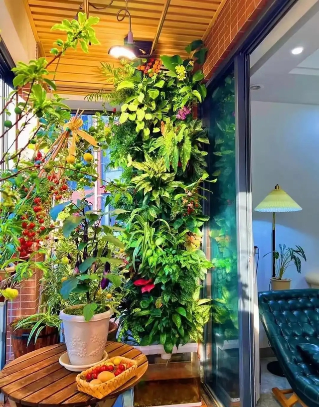 Khu vườn 6m2 khiến trăm nghìn người theo dõi vì quá "chữa lành"- Ảnh 2.