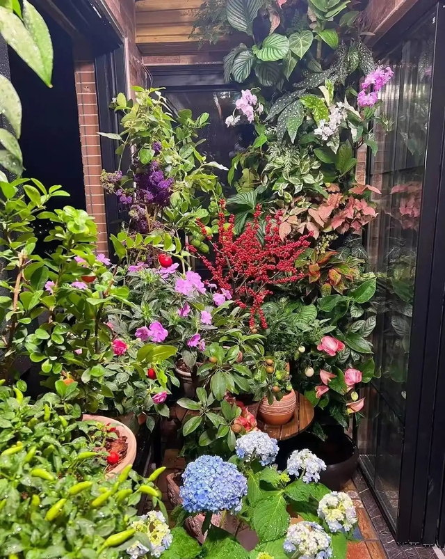 Khu vườn 6m2 khiến trăm nghìn người theo dõi vì quá "chữa lành"- Ảnh 4.