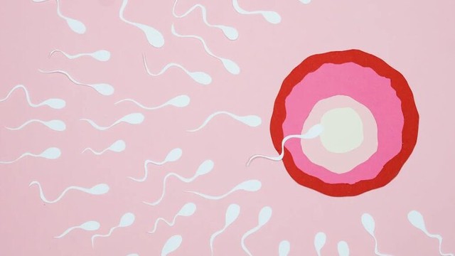 Người hiến tinh trùng có gen gây ung thư làm cha của 197 trẻ em: Lỗ hổng trong hệ thống y học ở châu Âu- Ảnh 1. Người hiến tinh trùng có gen gây ung thư làm cha của 197 trẻ em: Lỗ hổng trong hệ thống y học ở châu Âu- Ảnh 1.