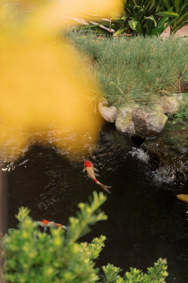 "Mỹ nhân 10 năm chăn trâu" lấy chồng giàu gia thế khủng, bước vào cửa hào môn ở biệt thự hoành tráng- Ảnh 7. "Mỹ nhân 10 năm chăn trâu" lấy chồng giàu gia thế khủng, bước vào cửa hào môn ở biệt thự hoành tráng- Ảnh 7.