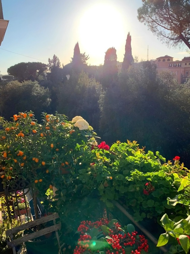 "Hoa hậu giàu nhất Việt Nam" lấy chồng giáo sư tiến sĩ, không đăng ký kết hôn, bất động sản trải dài 3 châu lục- Ảnh 17. "Hoa hậu giàu nhất Việt Nam" lấy chồng giáo sư tiến sĩ, không đăng ký kết hôn, bất động sản trải dài 3 châu lục- Ảnh 17.