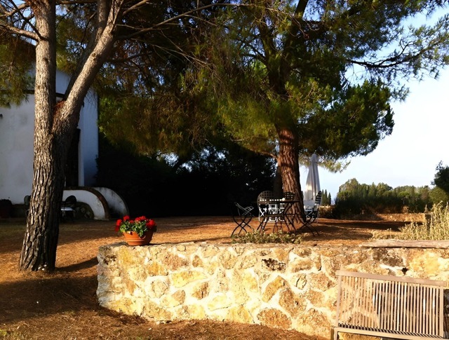 "Hoa hậu giàu nhất Việt Nam" lấy chồng giáo sư tiến sĩ, không đăng ký kết hôn, bất động sản trải dài 3 châu lục- Ảnh 20. "Hoa hậu giàu nhất Việt Nam" lấy chồng giáo sư tiến sĩ, không đăng ký kết hôn, bất động sản trải dài 3 châu lục- Ảnh 20.