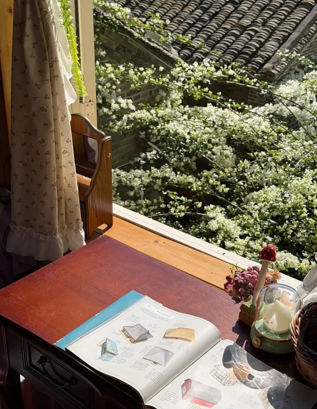 Tan chảy với căn hộ của cụ bà 70 tuổi: Sống bình yên 1 mình, không làm gánh nặng cho con cháu- Ảnh 4. Tan chảy với căn hộ của cụ bà 70 tuổi: Sống bình yên 1 mình, không làm gánh nặng cho con cháu- Ảnh 4.