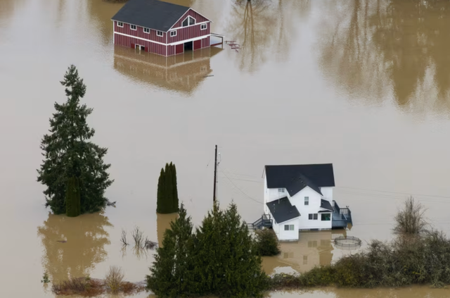 Tình cảnh kinh hoàng chưa từng có ở Washington (Mỹ) hiện tại- Ảnh 1. Tình cảnh kinh hoàng chưa từng có ở Washington (Mỹ) hiện tại- Ảnh 1.