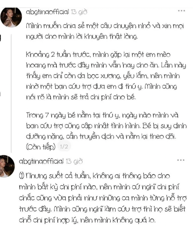 TikToker ABG Tina vướng tranh cãi vụ không trả hóa đơn 5,3 triệu khi cứu mèo hoang- Ảnh 2. TikToker ABG Tina vướng tranh cãi vụ không trả hóa đơn 5,3 triệu khi cứu mèo hoang- Ảnh 2.