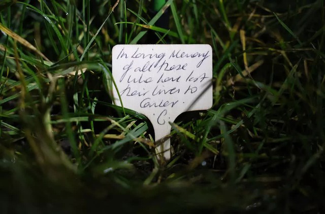 Vương phi Kate và 30.000 đóa hồng trắng thắp sáng trời đêm, lời nhắn gửi riêng tư cho bệnh nhân ung thư gây bão- Ảnh 3. Vương phi Kate và 30.000 đóa hồng trắng thắp sáng trời đêm, lời nhắn gửi riêng tư cho bệnh nhân ung thư gây bão- Ảnh 3.