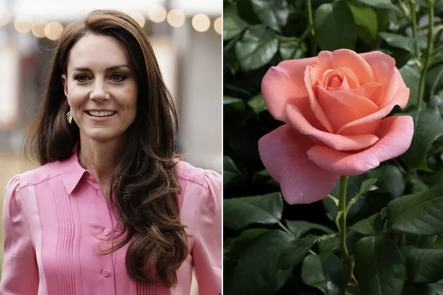 Vương phi Kate và 30.000 đóa hồng trắng thắp sáng trời đêm, lời nhắn gửi riêng tư cho bệnh nhân ung thư gây bão- Ảnh 4. Vương phi Kate và 30.000 đóa hồng trắng thắp sáng trời đêm, lời nhắn gửi riêng tư cho bệnh nhân ung thư gây bão- Ảnh 4.