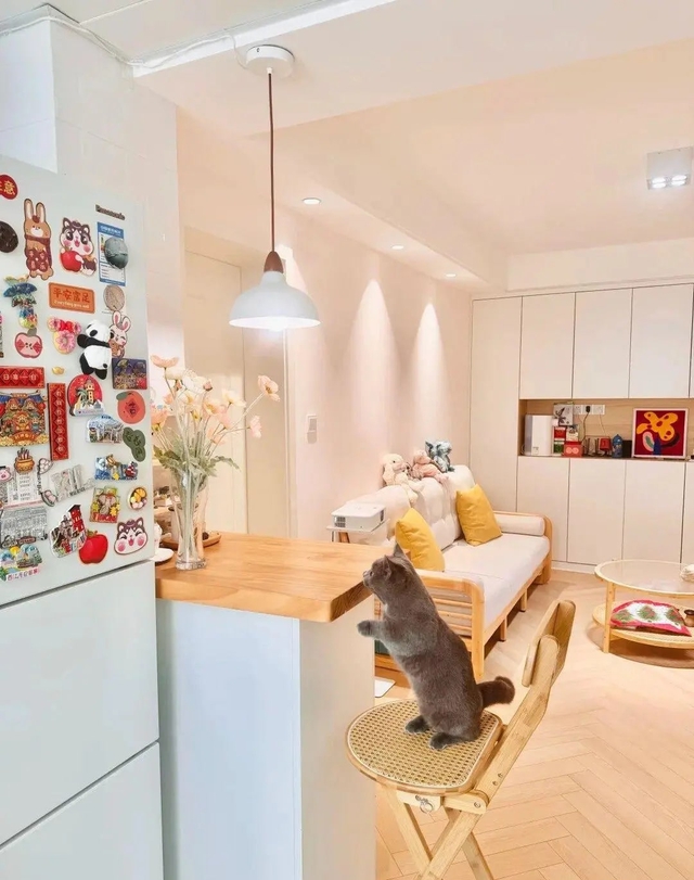 10 năm tự ép mình sống như người nghèo, bị chê tằn tiện: Cô gái đổi cả thanh xuân để nhận lại điều này- Ảnh 3. 10 năm tự ép mình sống như người nghèo, bị chê tằn tiện: Cô gái đổi cả thanh xuân để nhận lại điều này- Ảnh 3.