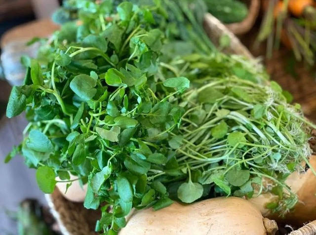 Chợ Việt có loại rau 10.000/bó, là "trùm cuối" chống ung thư được cả thế giới công nhận- Ảnh 1. Chợ Việt có loại rau 10.000/bó, là "trùm cuối" chống ung thư được cả thế giới công nhận- Ảnh 1.