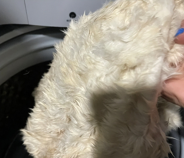 Dùng máy giặt đến năm thứ 10, tôi mới nhận ra 6 sai lầm tai hại- Ảnh 6.