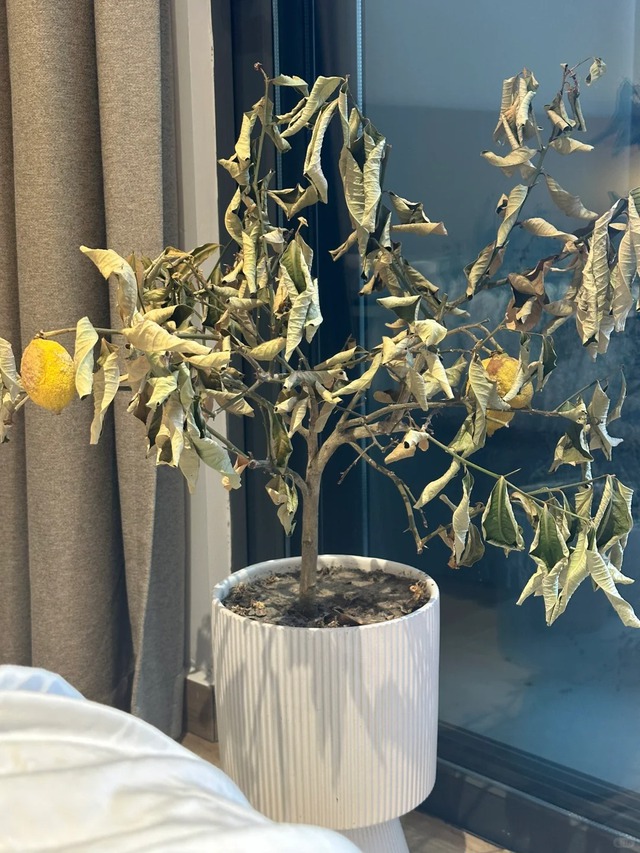 Nhà không yên, người không thuận: 3 "vật cản" nếu không dọn đi, may mắn khó lòng chạm ngõ- Ảnh 2.