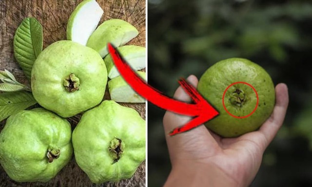 Quả quen mặt ở chợ Việt lọt top "chống oxy hóa tốt nhất thế giới", không mua phí của trời- Ảnh 3.