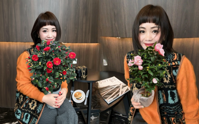 Tết 2026 chơi gì cho "độc"? Thử ngay chậu trà Hương Phi vừa có sắc, vừa có hương, lại mang phú quý vào nhà- Ảnh 1.