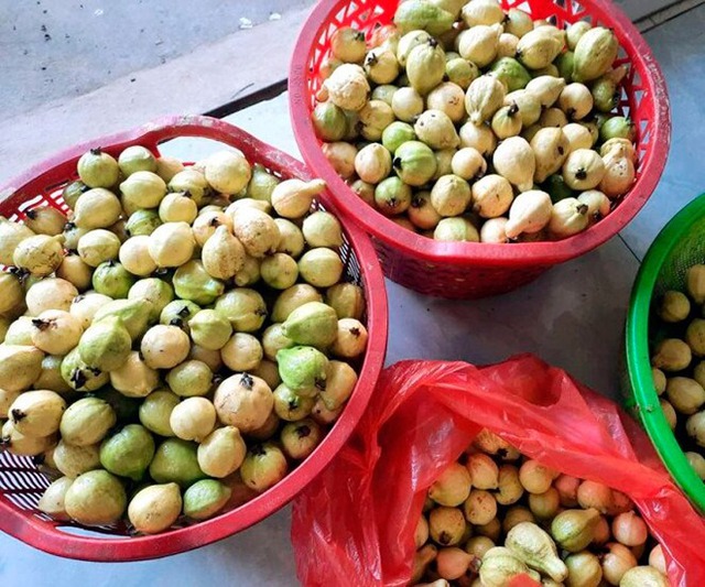 Quả quen mặt ở chợ Việt lọt top "chống oxy hóa tốt nhất thế giới", không mua phí của trời- Ảnh 2.