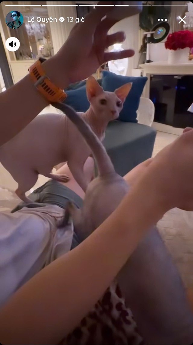 Loá mắt khung cảnh bên trong biệt thự đắt đỏ, 3,6 tỷ chỉ xây được cái cổng của Lệ Quyên- Ảnh 1. Loá mắt khung cảnh bên trong biệt thự đắt đỏ, 3,6 tỷ chỉ xây được cái cổng của Lệ Quyên- Ảnh 1.