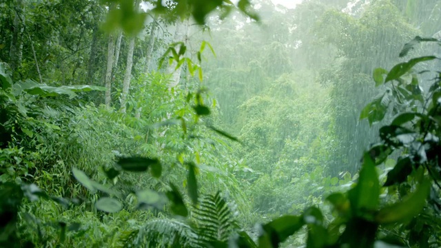 Quiz nhanh: "Mở khóa" bí mật mạch nước ngầm núi lửa triệu năm trong lòng Núi Tiên- Ảnh 4.