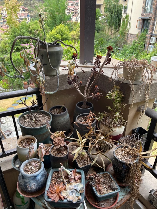 3 "kẻ giấu mặt" âm thầm rút cạn tài lộc trong nhà: Số 2 rất nhiều chị em tiếc rẻ không nỡ bỏ- Ảnh 2. 3 "kẻ giấu mặt" âm thầm rút cạn tài lộc trong nhà: Số 2 rất nhiều chị em tiếc rẻ không nỡ bỏ- Ảnh 2.