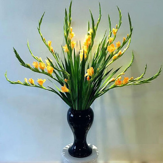 Mùng 1 cúng 5 loài hoa này: Bề trên hài lòng, hanh thông cả tháng- Ảnh 3. Mùng 1 cúng 5 loài hoa này: Bề trên hài lòng, hanh thông cả tháng- Ảnh 3.