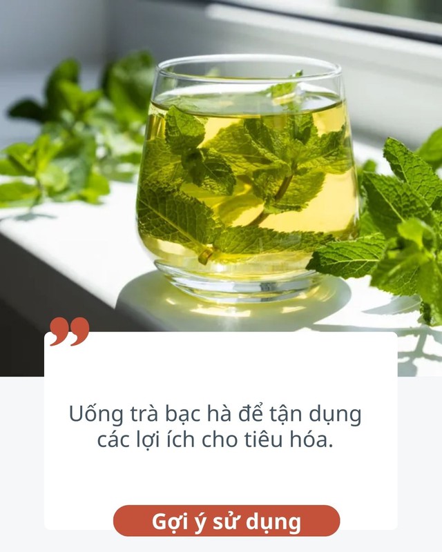10 thực phẩm hỗ trợ tiêu hóa còn tốt hơn cả gừng, ai "bụng dạ kém" thì bổ sung ngay để cải thiện- Ảnh 4.